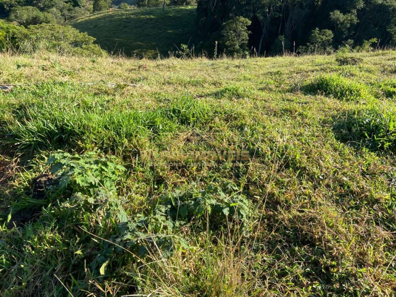 Terreno, 1 hectares - Foto 7