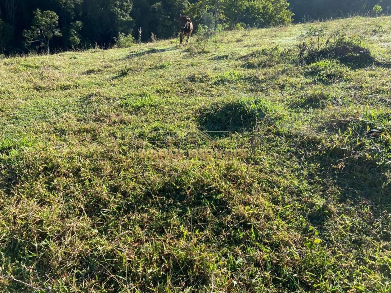Terreno, 1 hectares - Foto 8