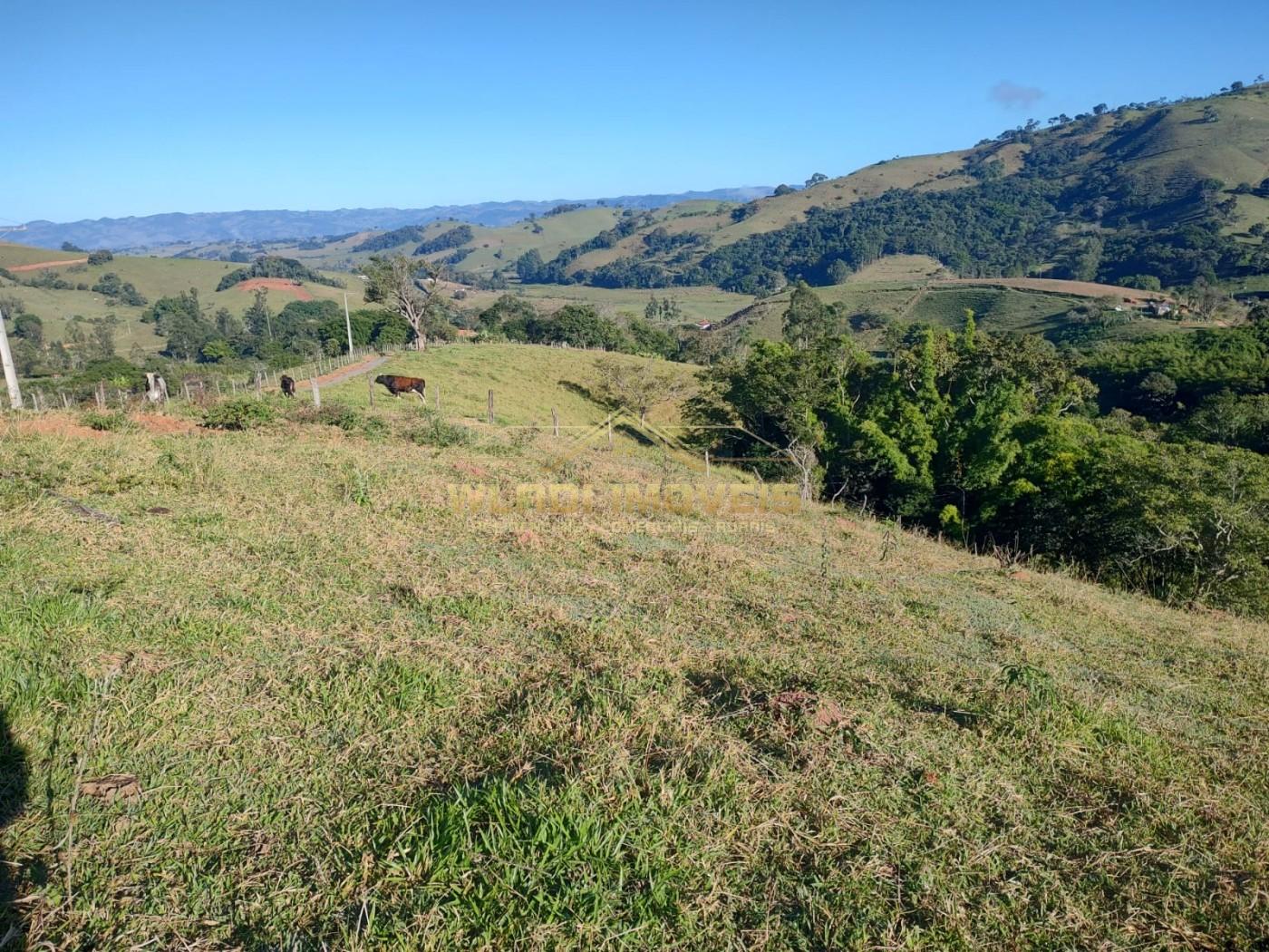 Terreno, 1 hectares - Foto 9