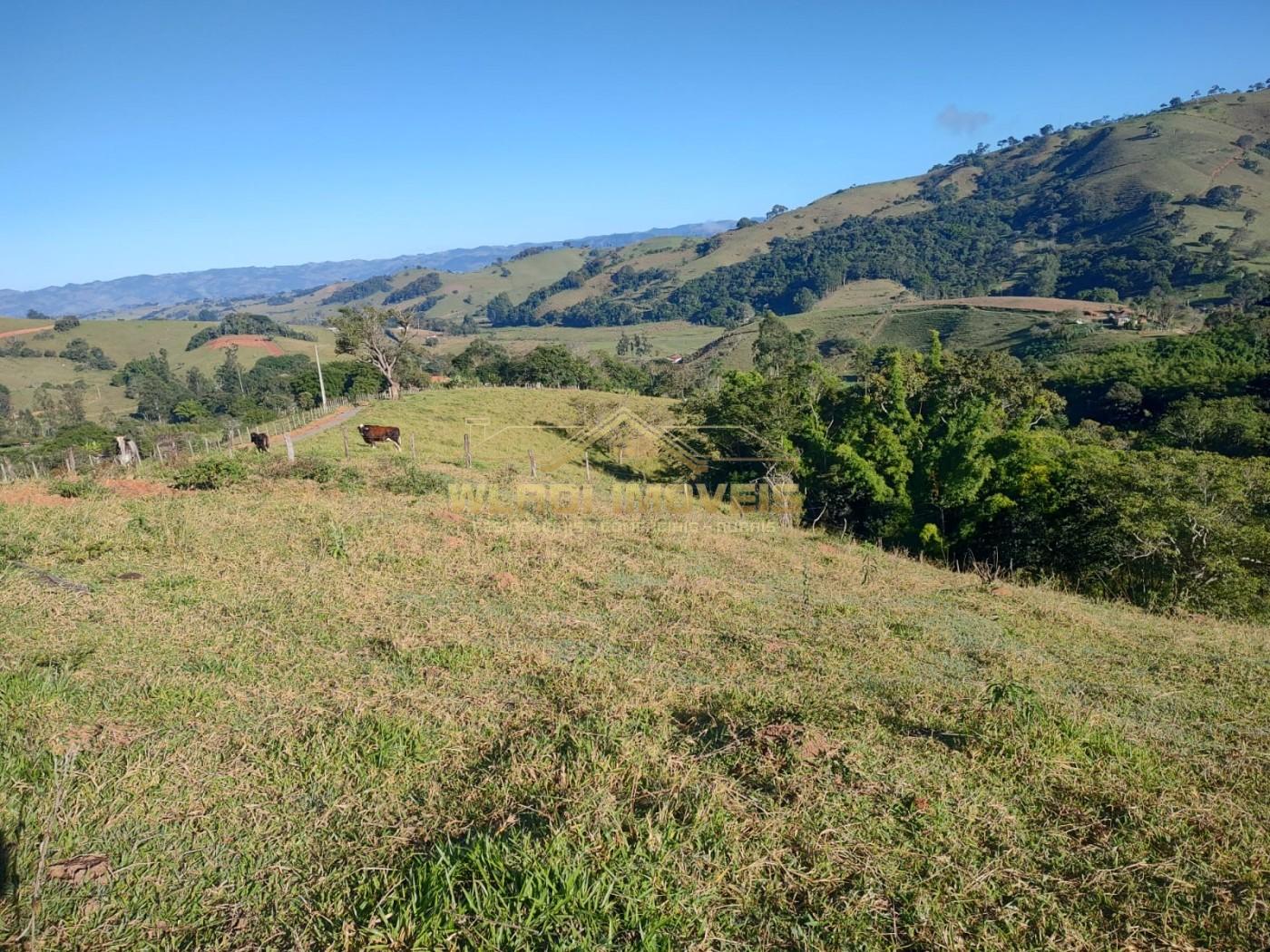 Terreno, 1 hectares - Foto 13