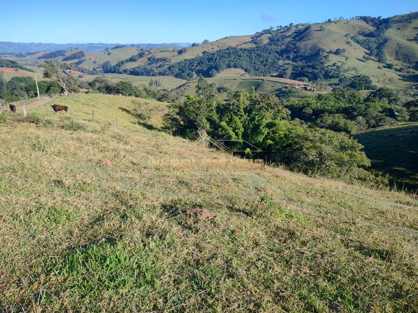 Terreno, 1 hectares - Foto 14
