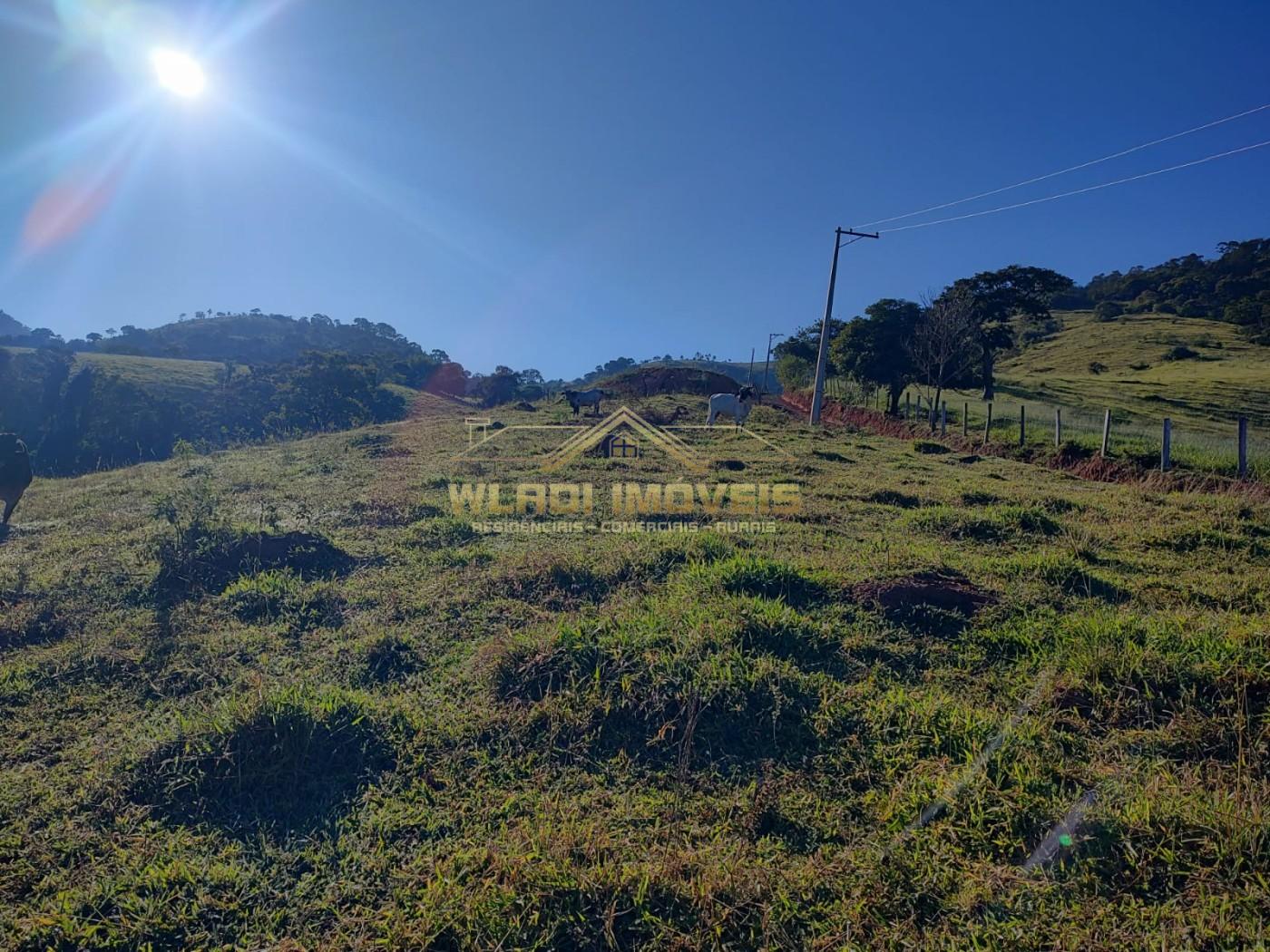 Terreno, 1 hectares - Foto 15