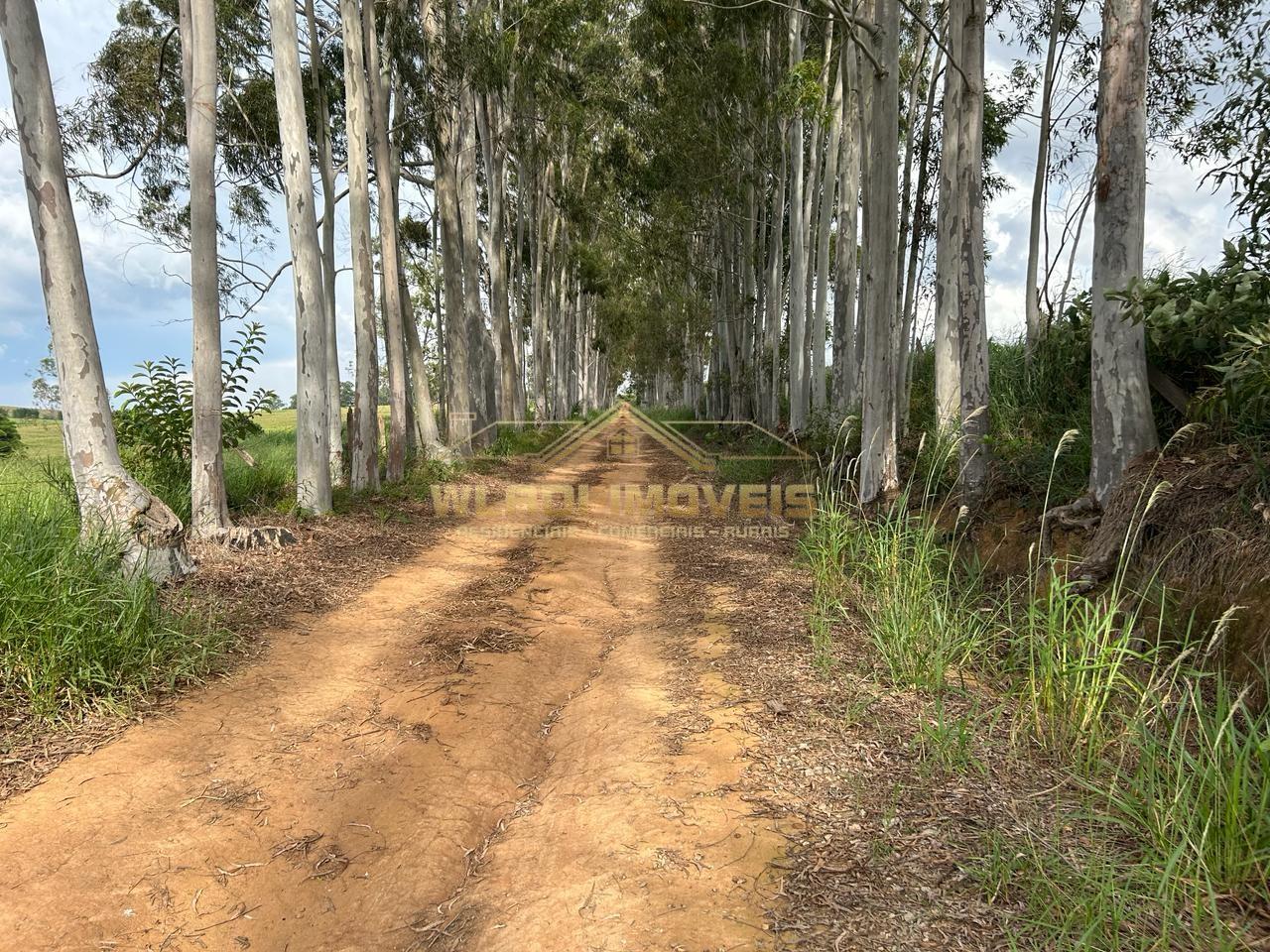 Fazenda, 42 m² - Foto 11