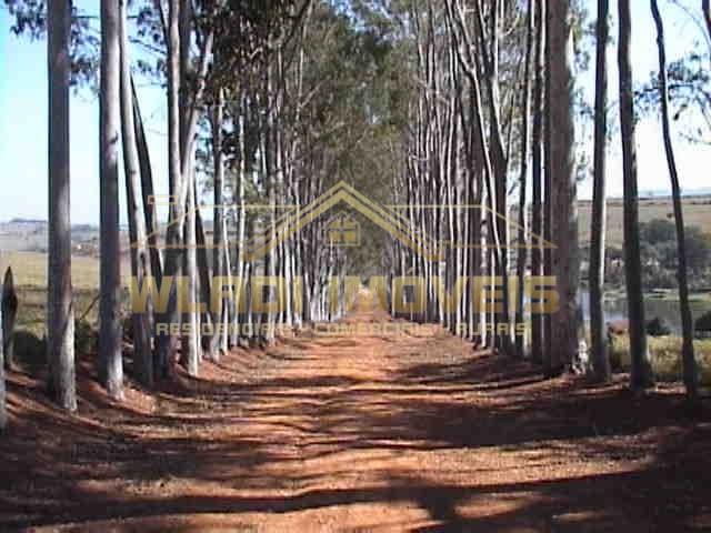 Fazenda, 42 m² - Foto 14