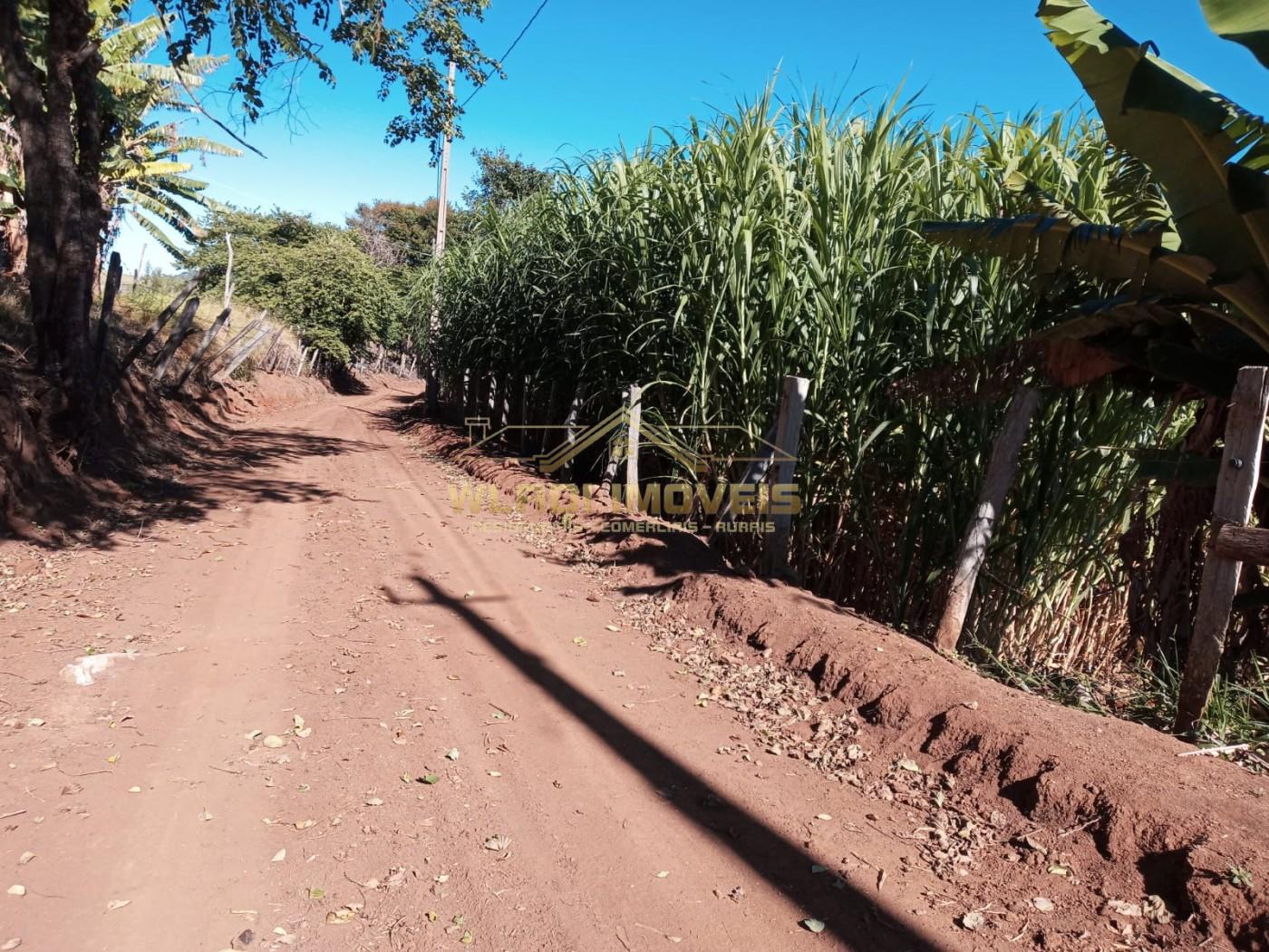 Sítio, 7 m² - Foto 17