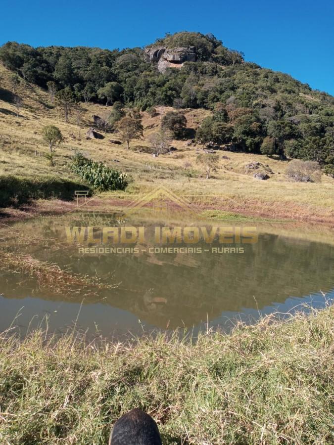 Sítio, 7 m² - Foto 21