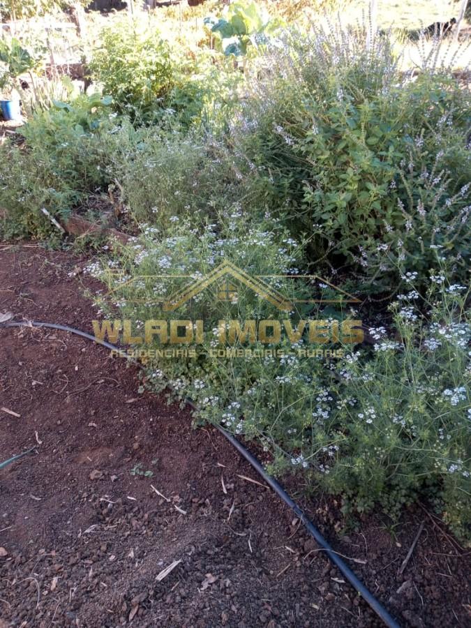 Sítio, 7 m² - Foto 35