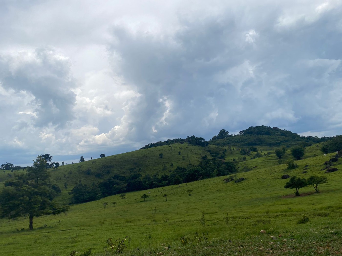 Loteamento e Condomínio, 41 m² - Foto 13