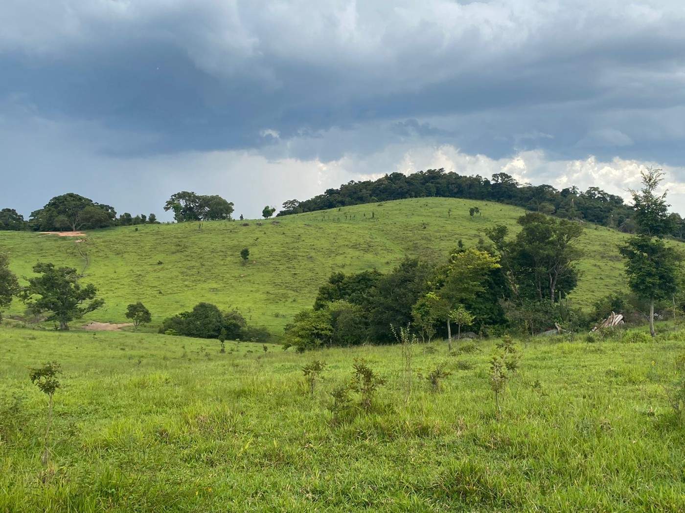 Loteamento e Condomínio, 41 m² - Foto 6