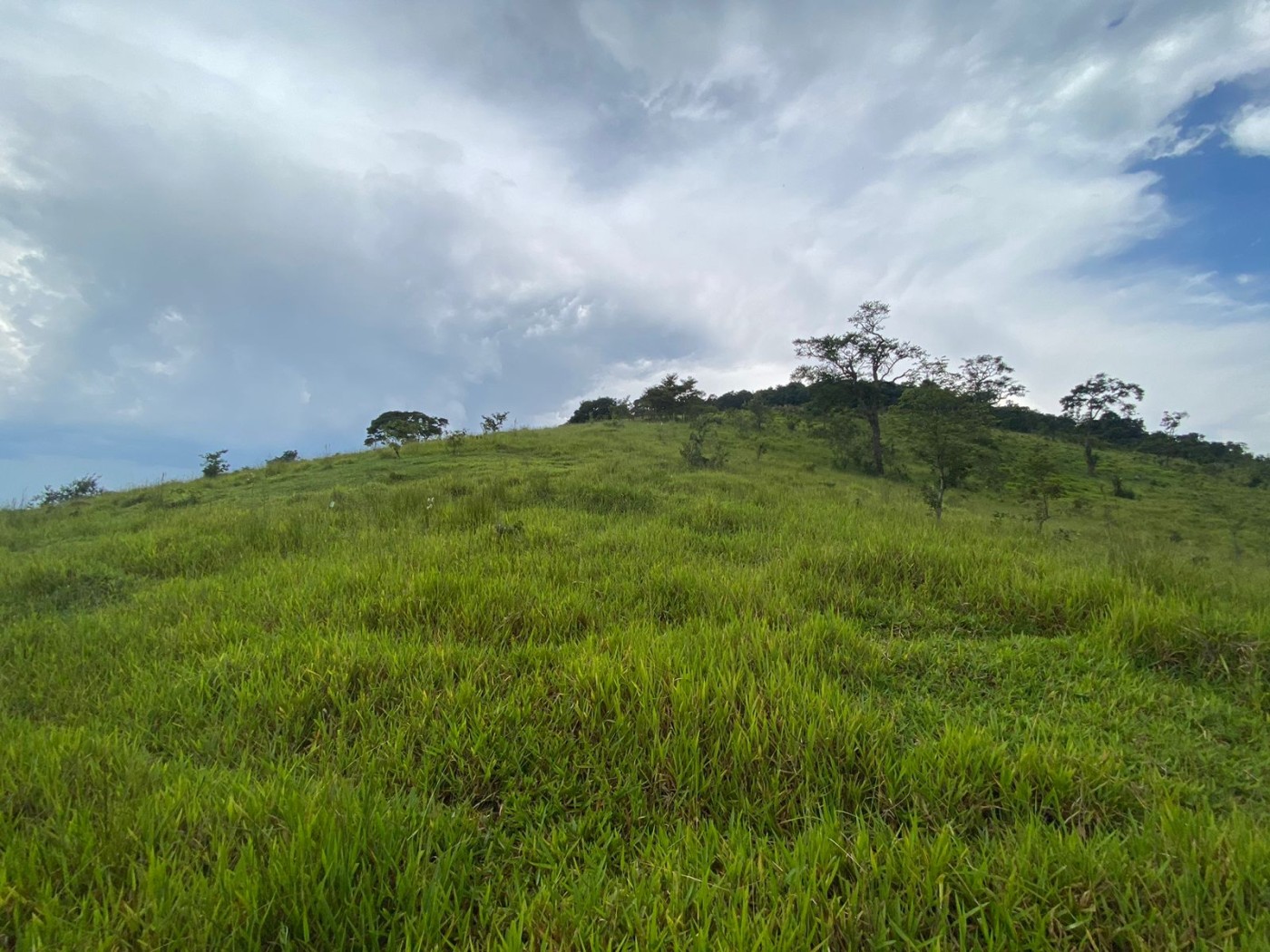 Loteamento e Condomínio, 41 m² - Foto 19