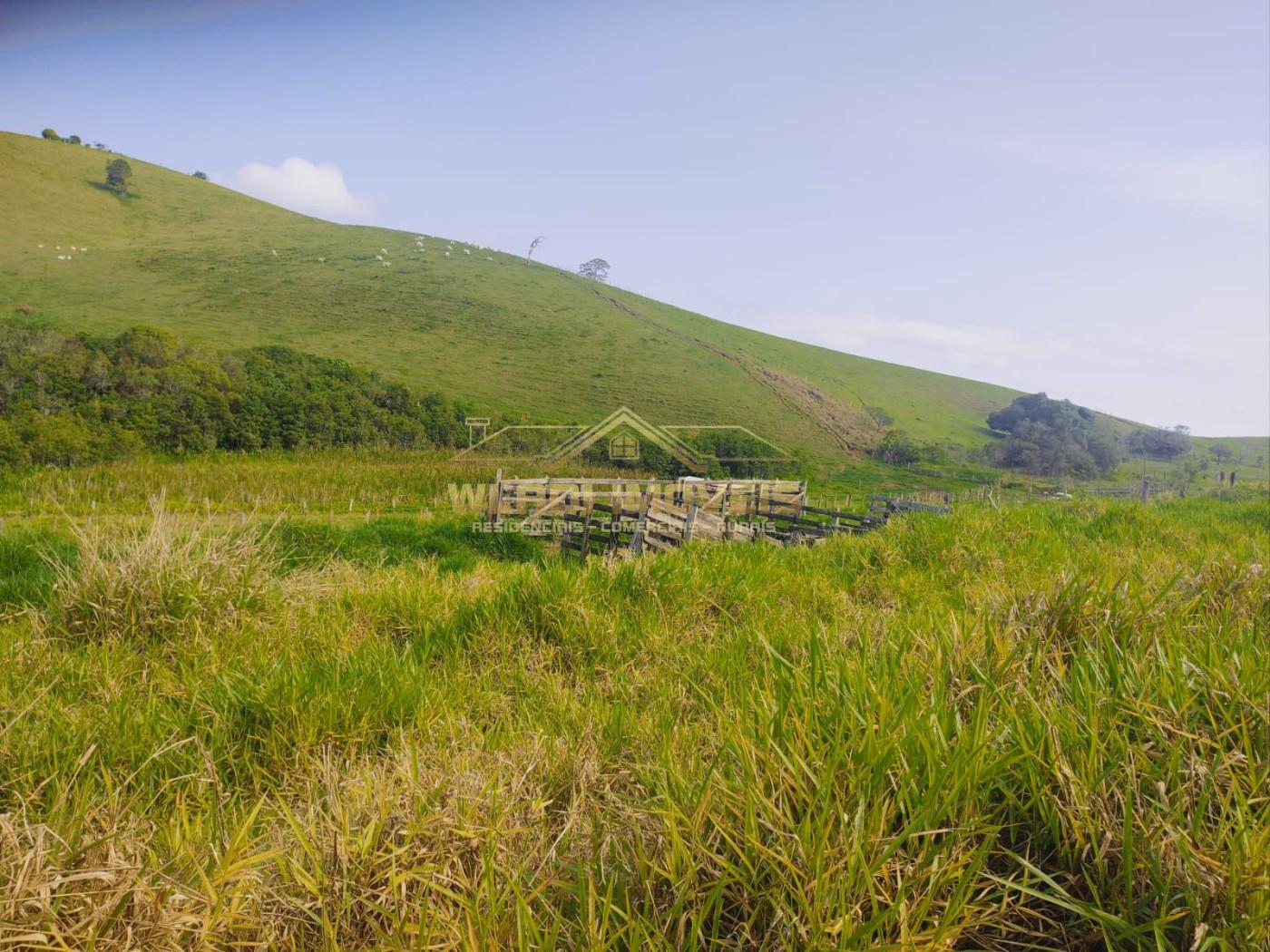 Chácara, 1 hectares - Foto 5