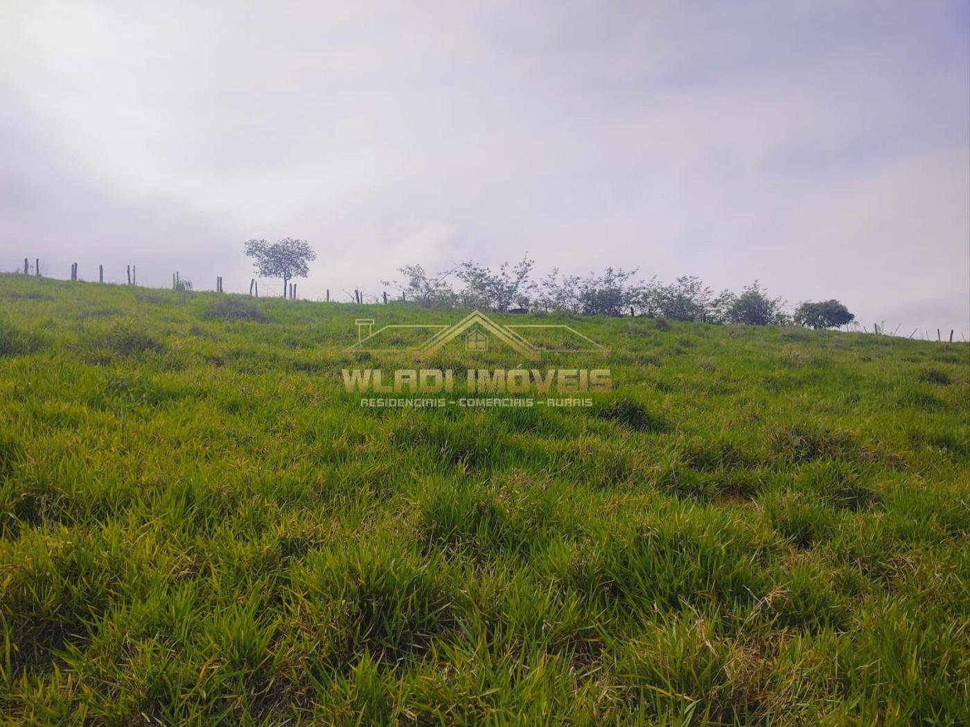 Chácara, 1 hectares - Foto 6