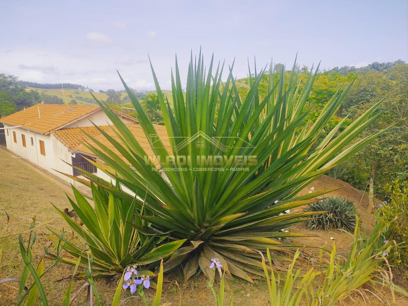 Chácara, 1 hectares - Foto 14