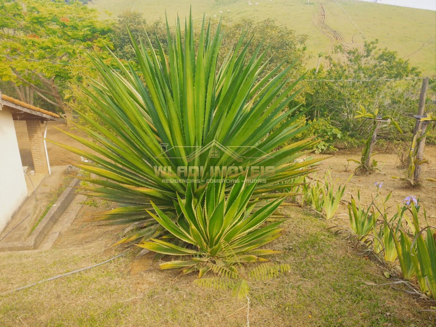 Chácara, 1 hectares - Foto 9