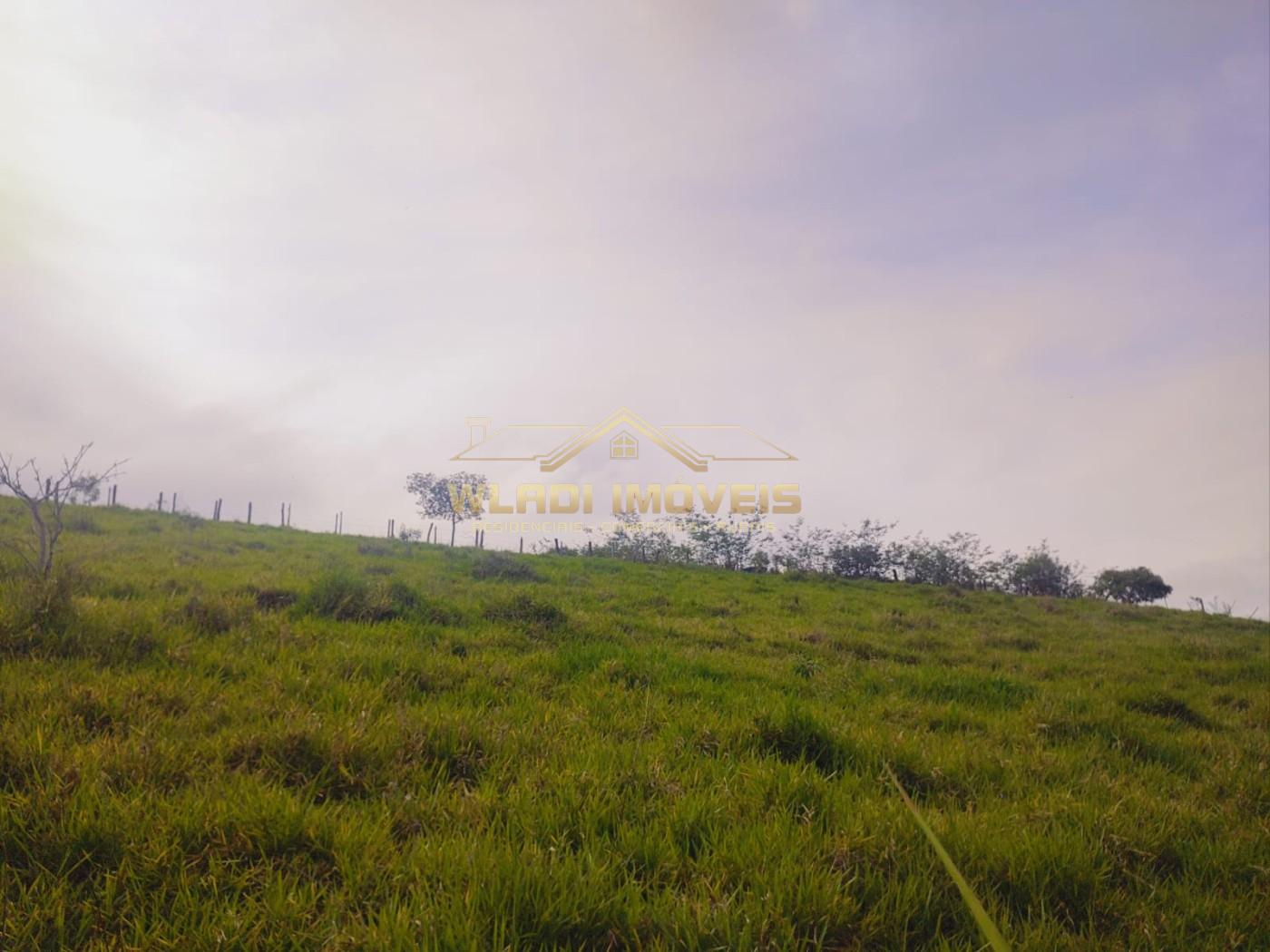 Chácara, 1 hectares - Foto 15