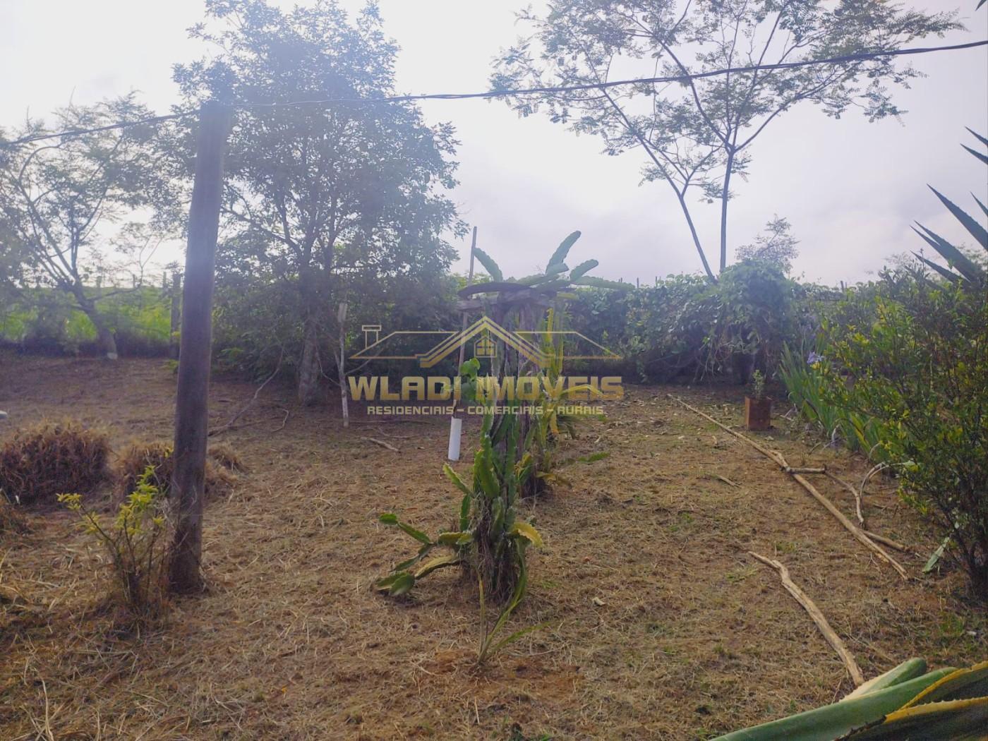 Chácara, 1 hectares - Foto 16