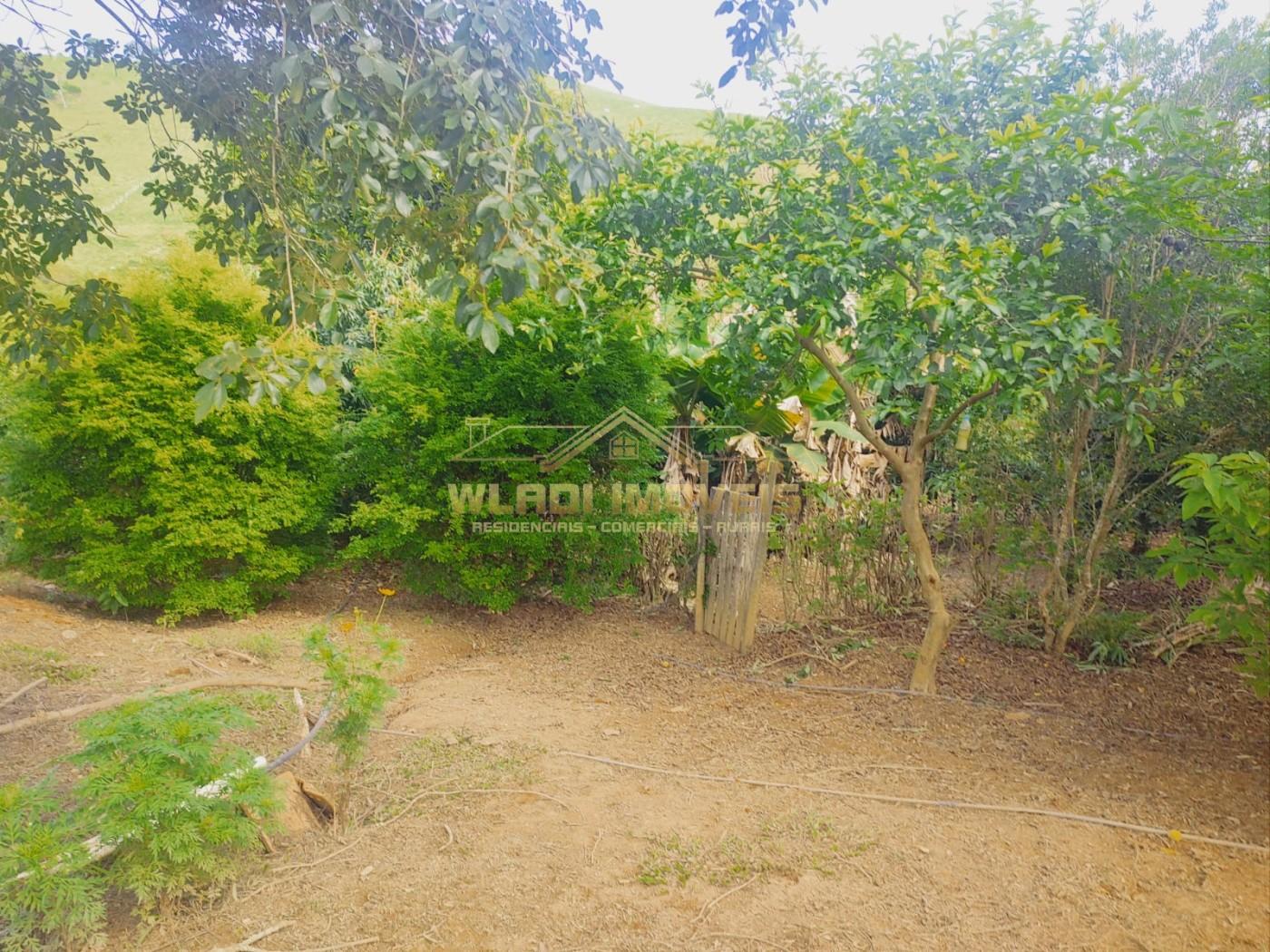 Chácara, 1 hectares - Foto 19