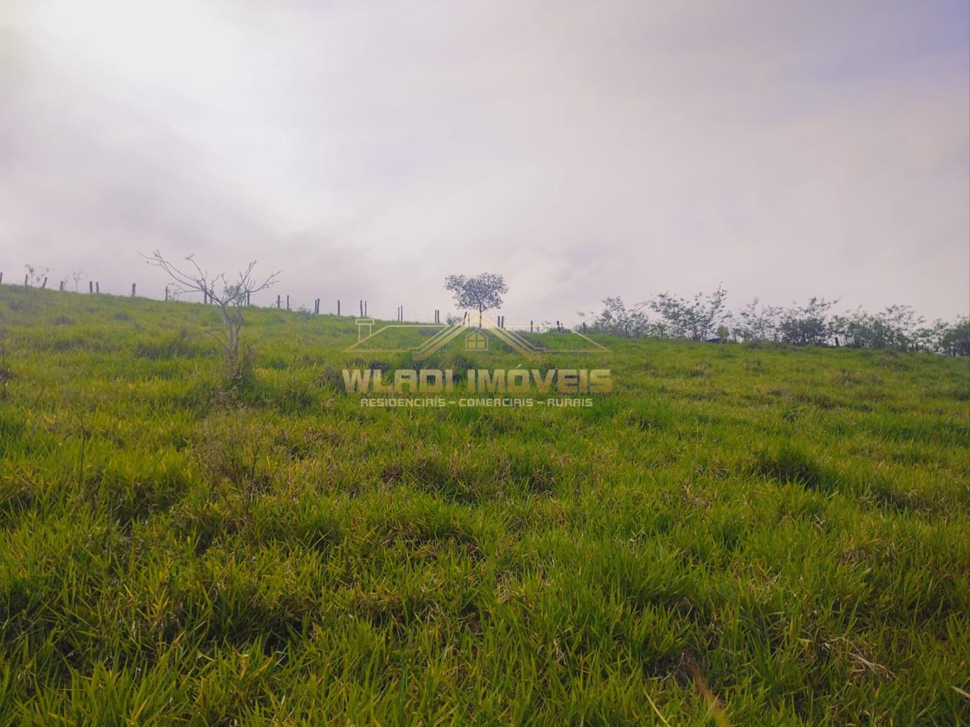 Chácara, 1 hectares - Foto 20