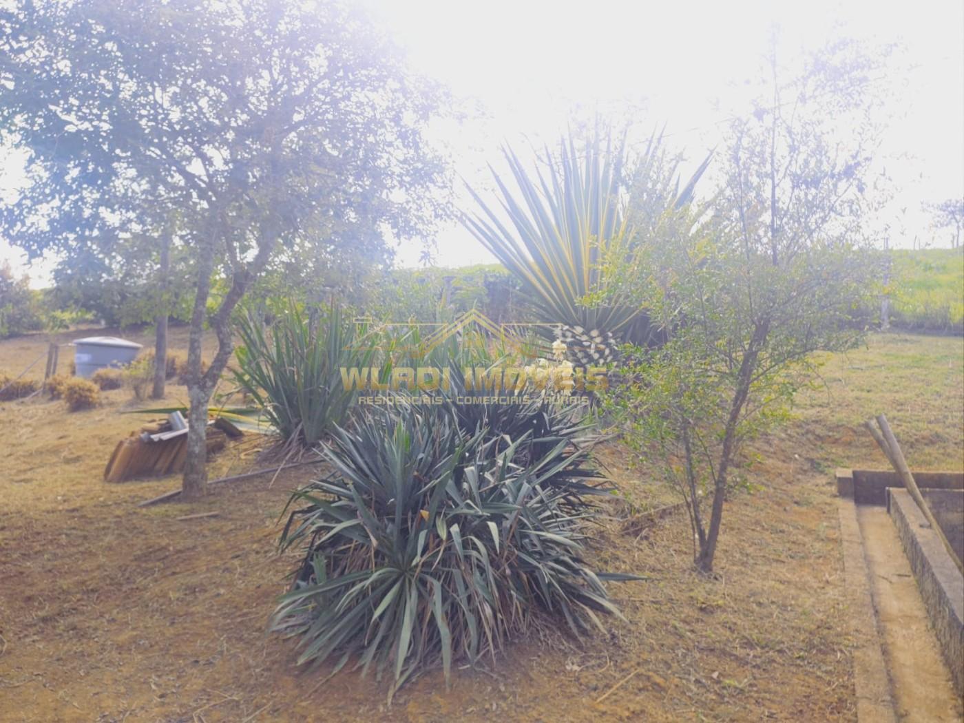 Chácara, 1 hectares - Foto 22