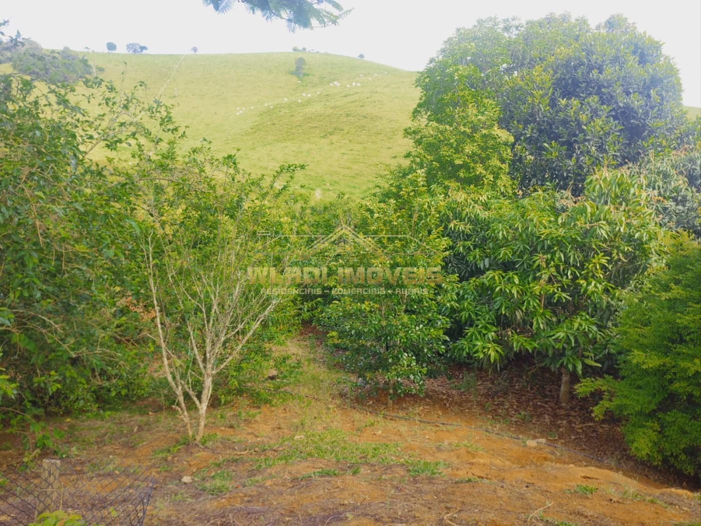 Chácara, 1 hectares - Foto 18