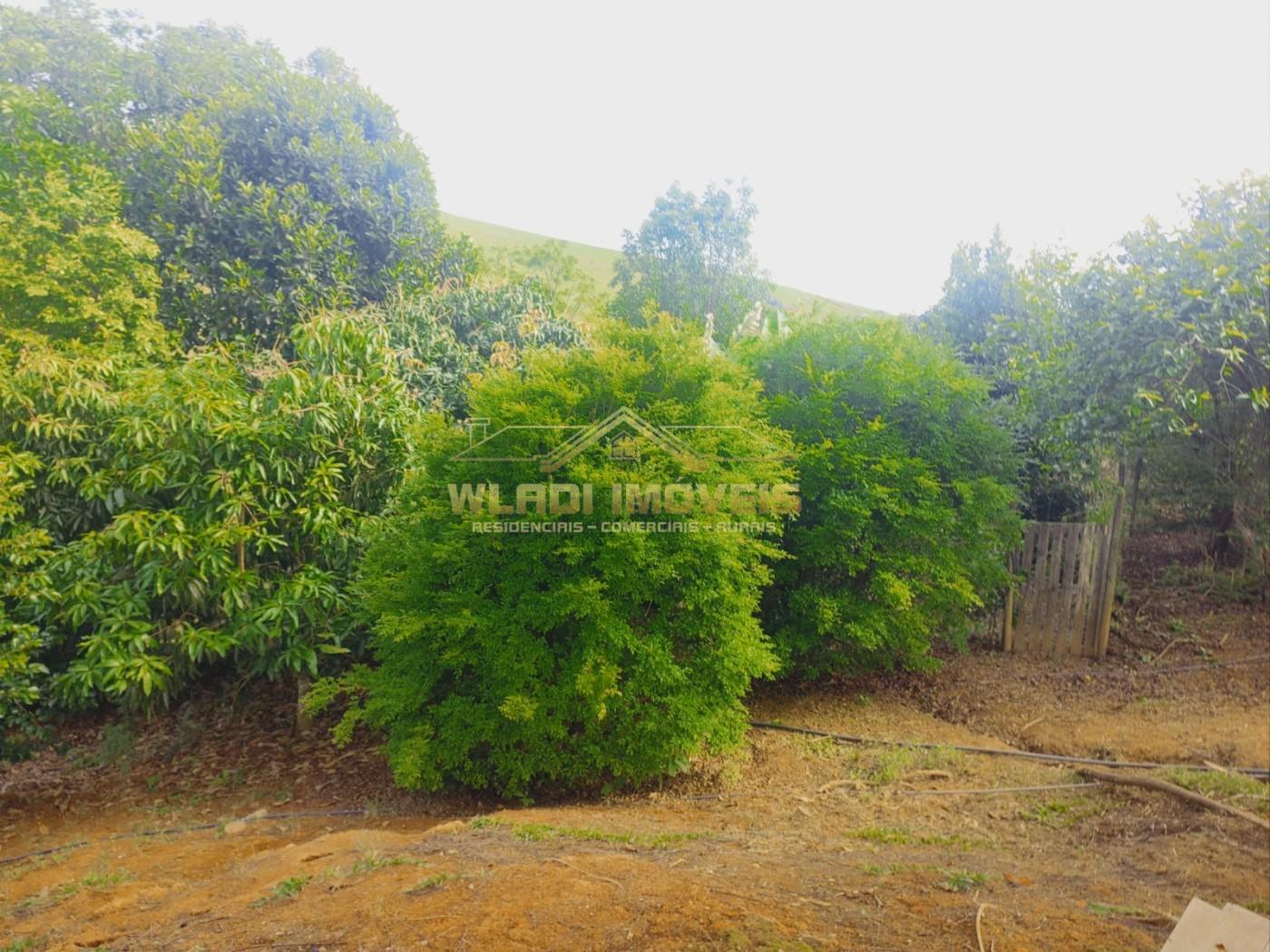 Chácara, 1 hectares - Foto 23