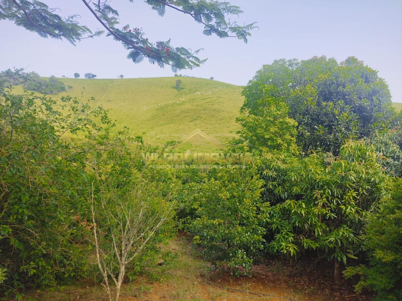 Chácara, 1 hectares - Foto 7