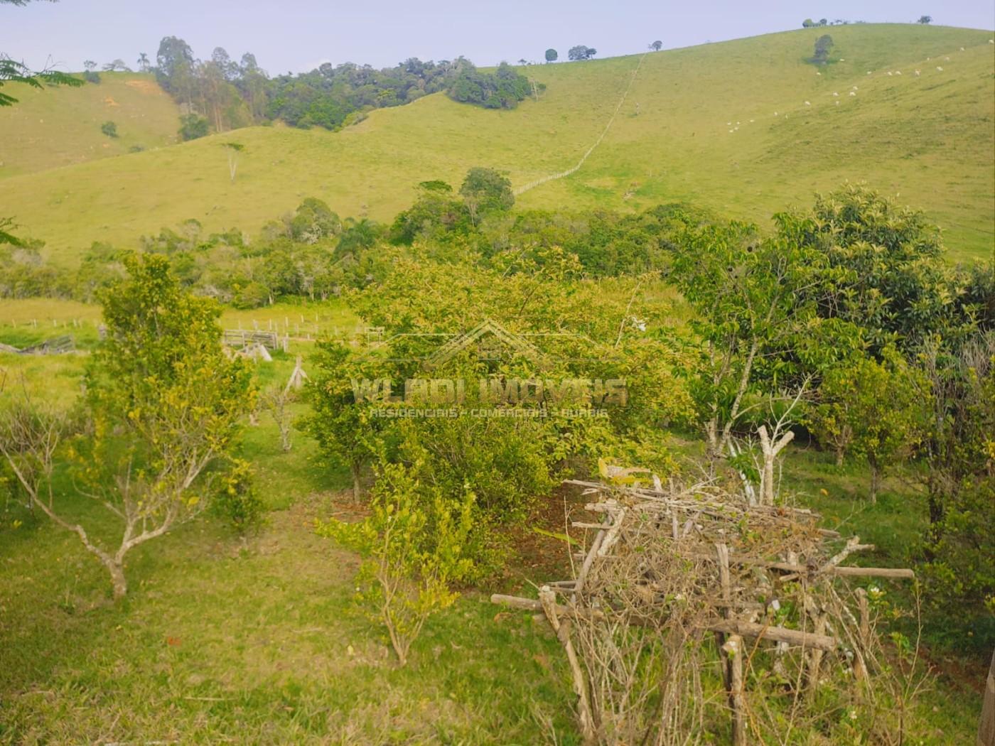 Chácara, 1 hectares - Foto 4