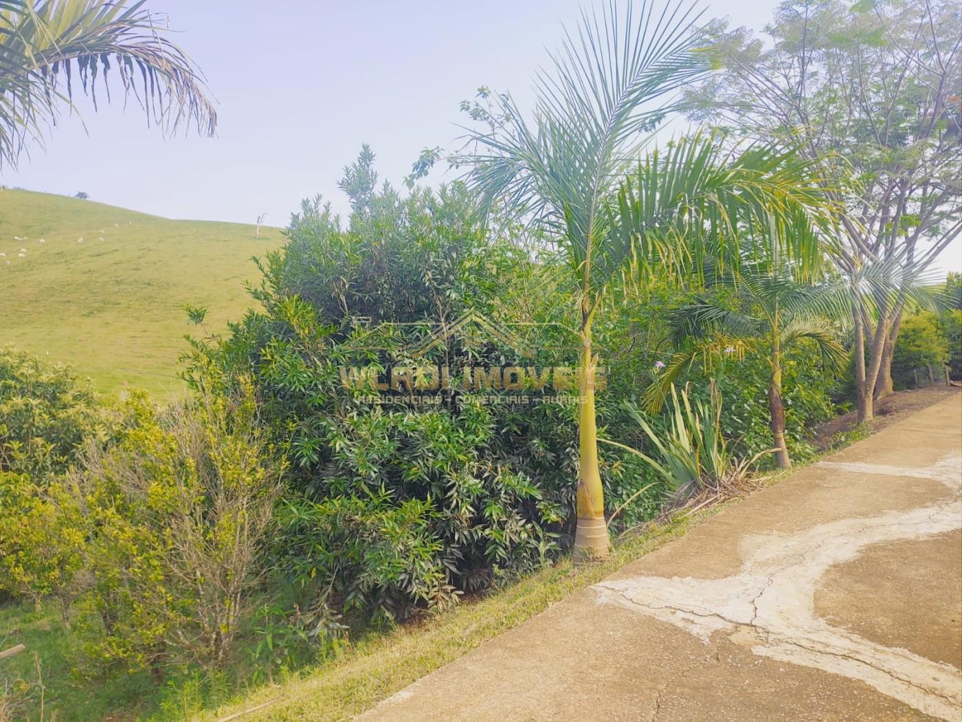 Chácara, 1 hectares - Foto 8