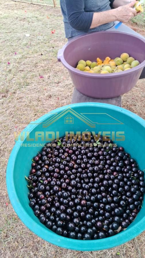 Chácara, 1 hectares - Foto 2