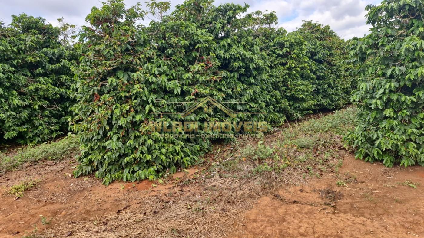 Fazenda, 177 m² - Foto 2