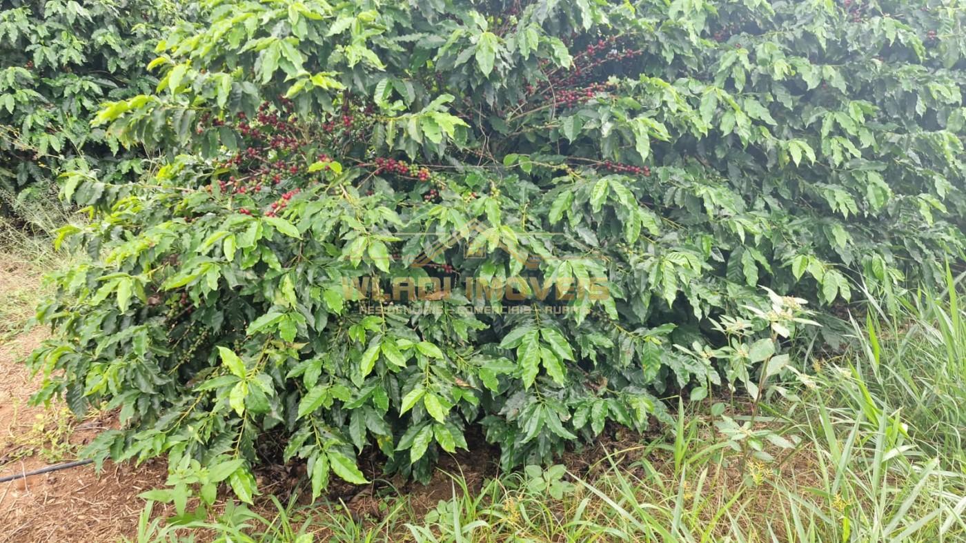 Fazenda, 177 m² - Foto 13