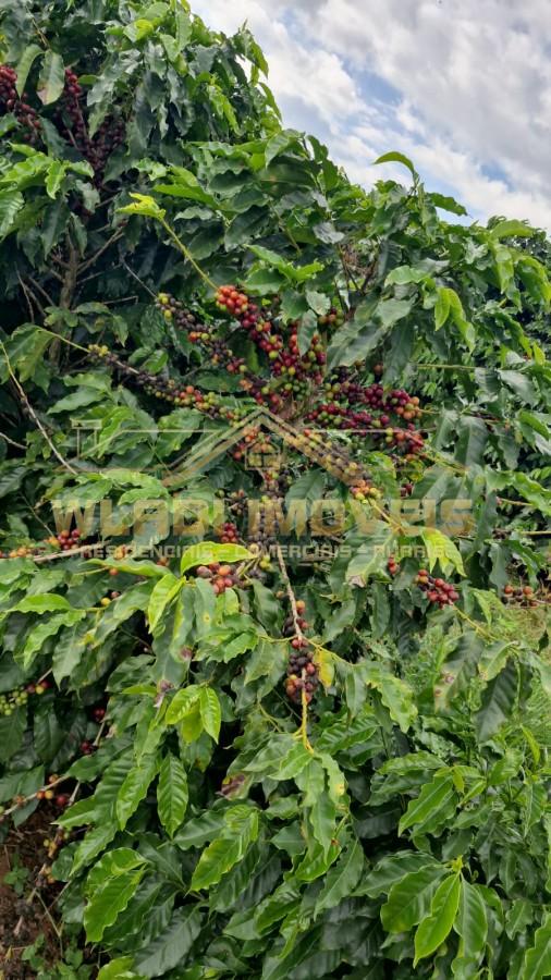 Fazenda, 177 m² - Foto 3