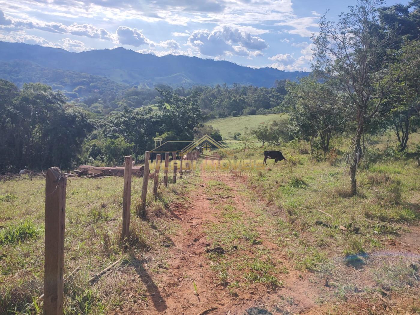 Terreno, 3 hectares - Foto 9