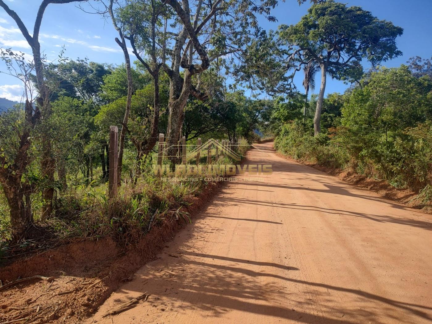 Terreno, 3 hectares - Foto 4