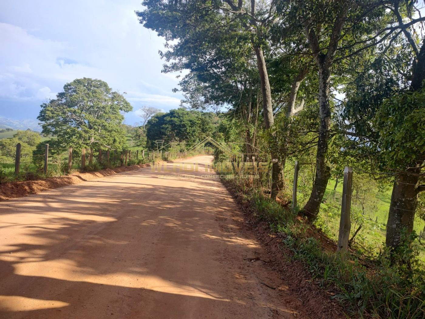 Terreno, 3 hectares - Foto 5