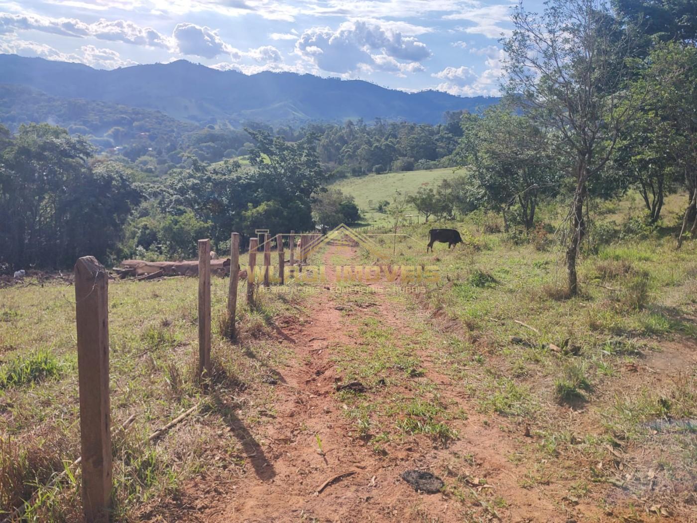 Terreno, 3 hectares - Foto 8