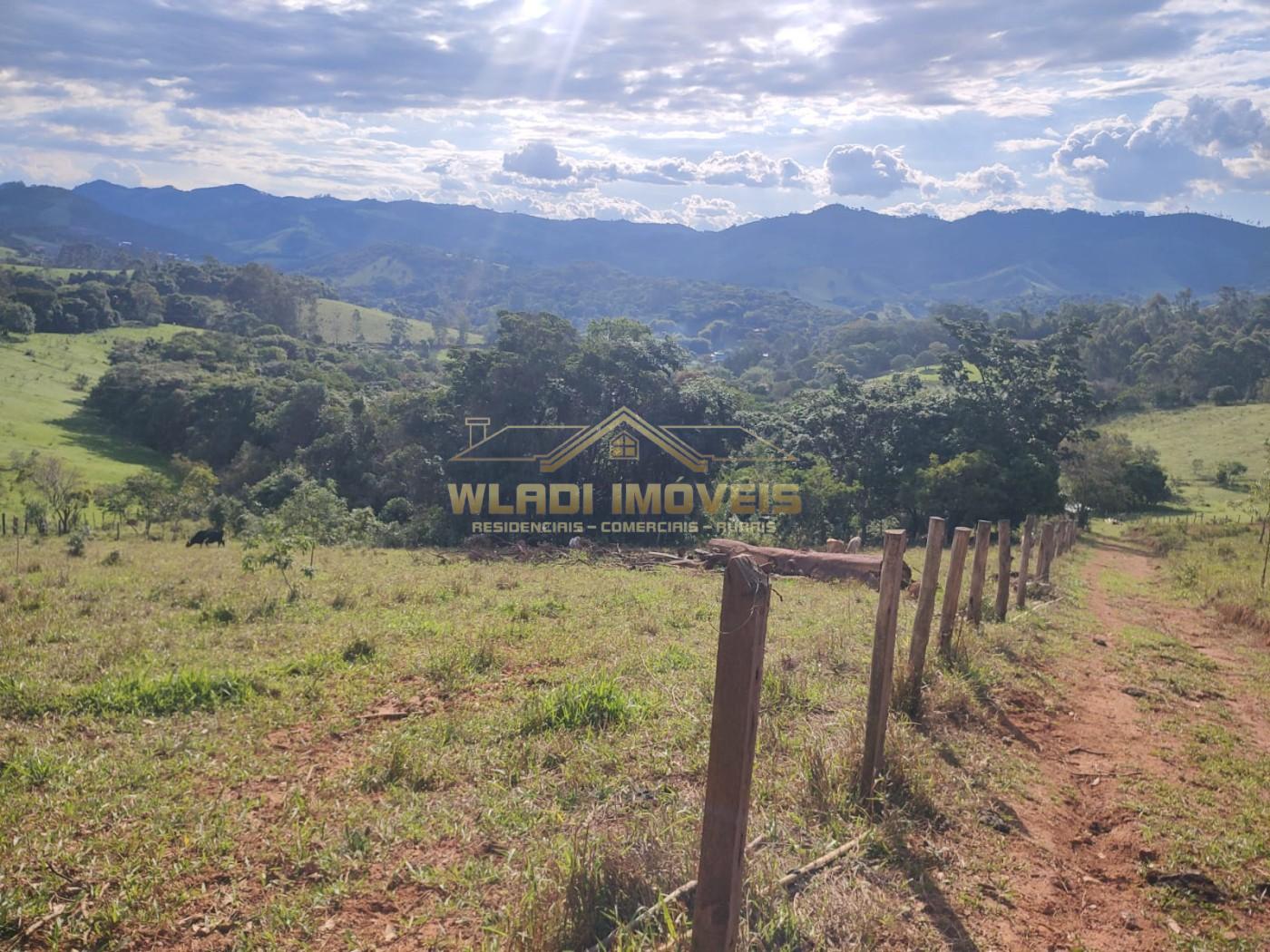 Terreno, 3 hectares - Foto 7