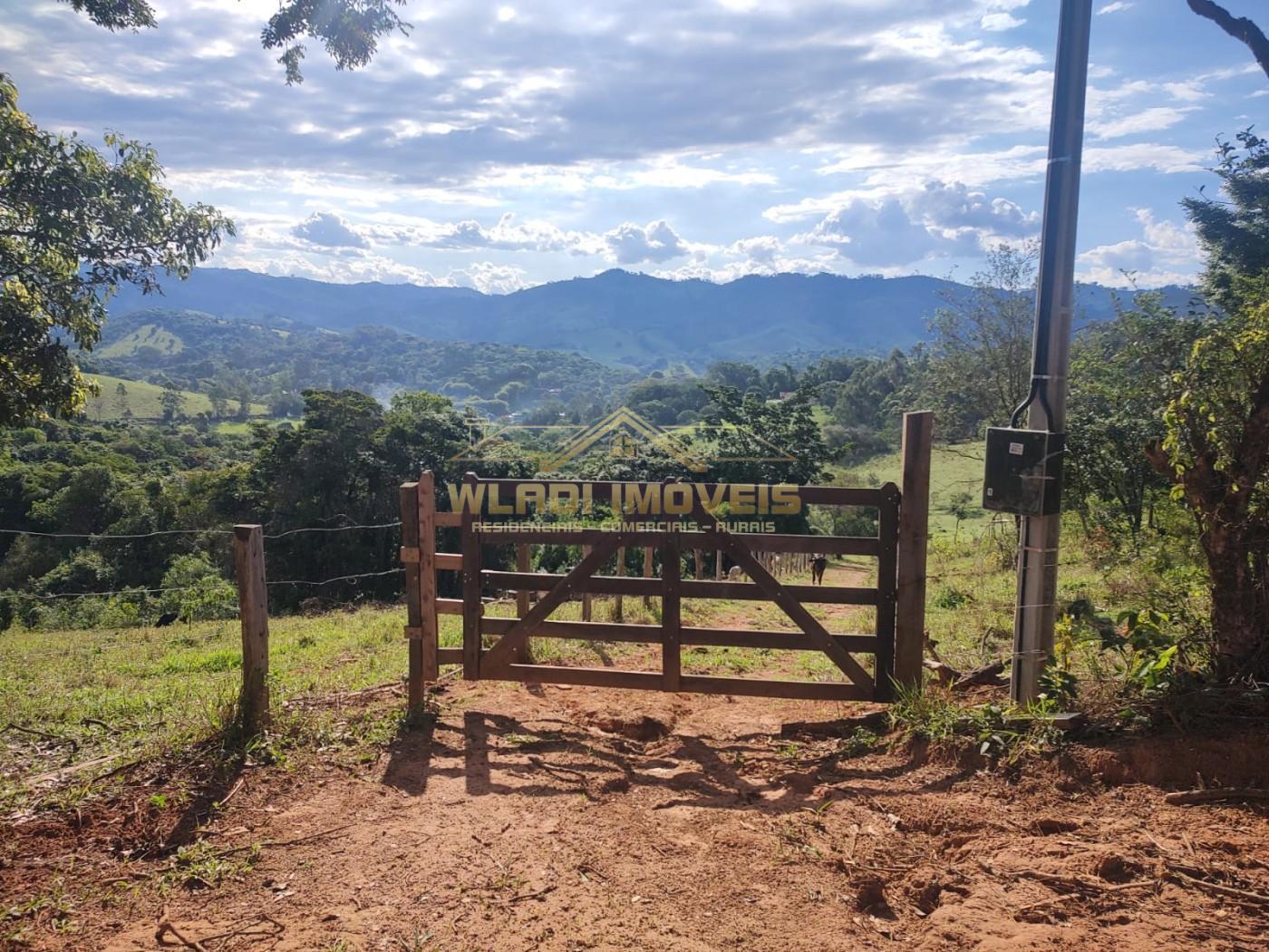 Terreno, 3 hectares - Foto 10