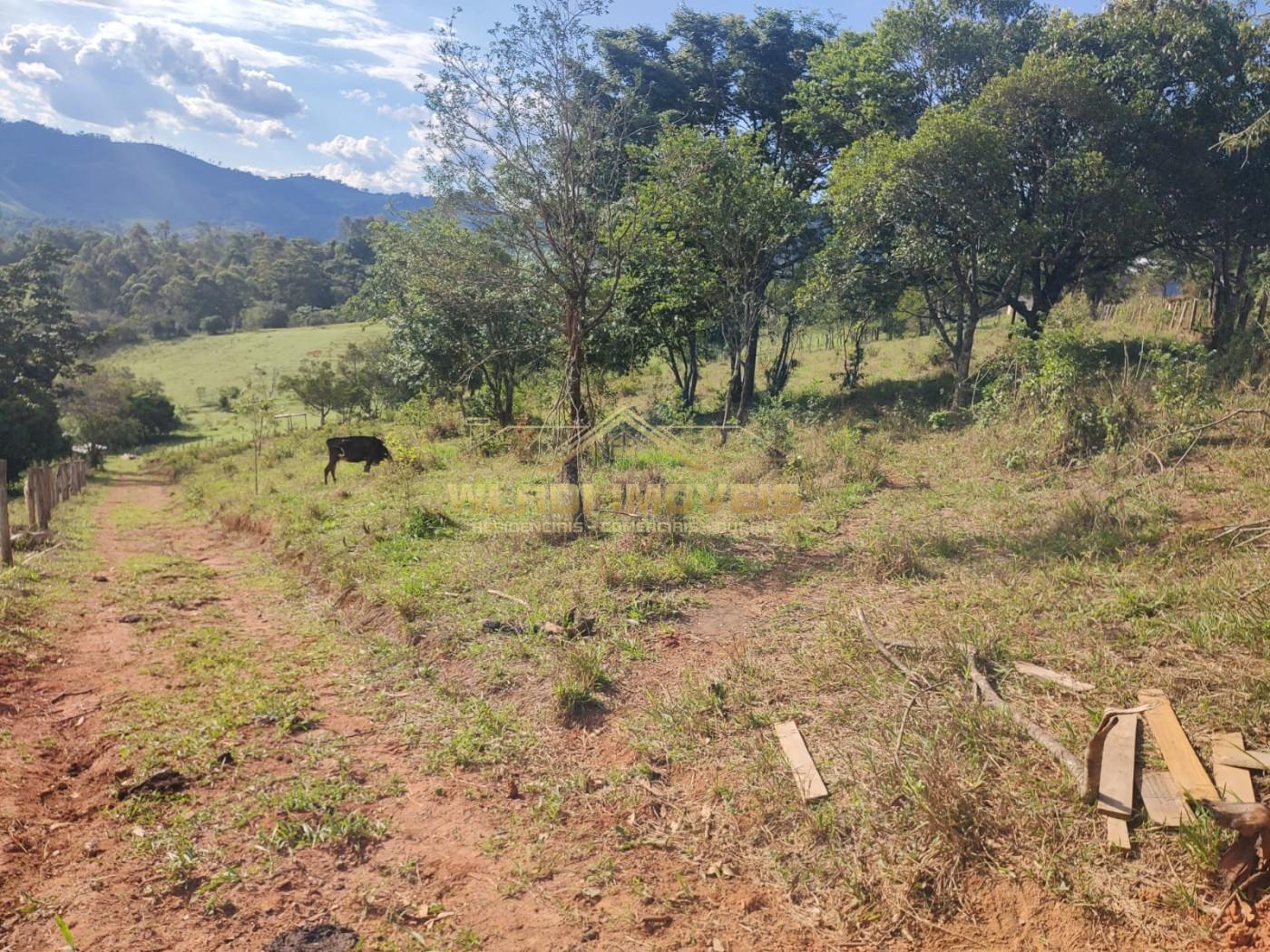 Terreno, 3 hectares - Foto 11