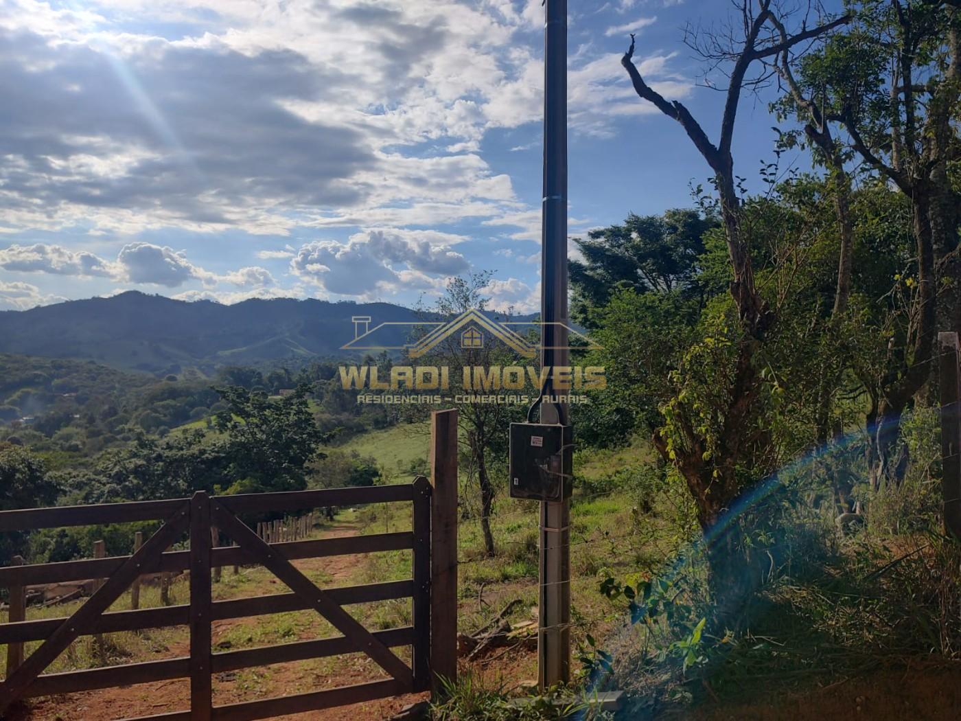 Terreno, 3 hectares - Foto 12