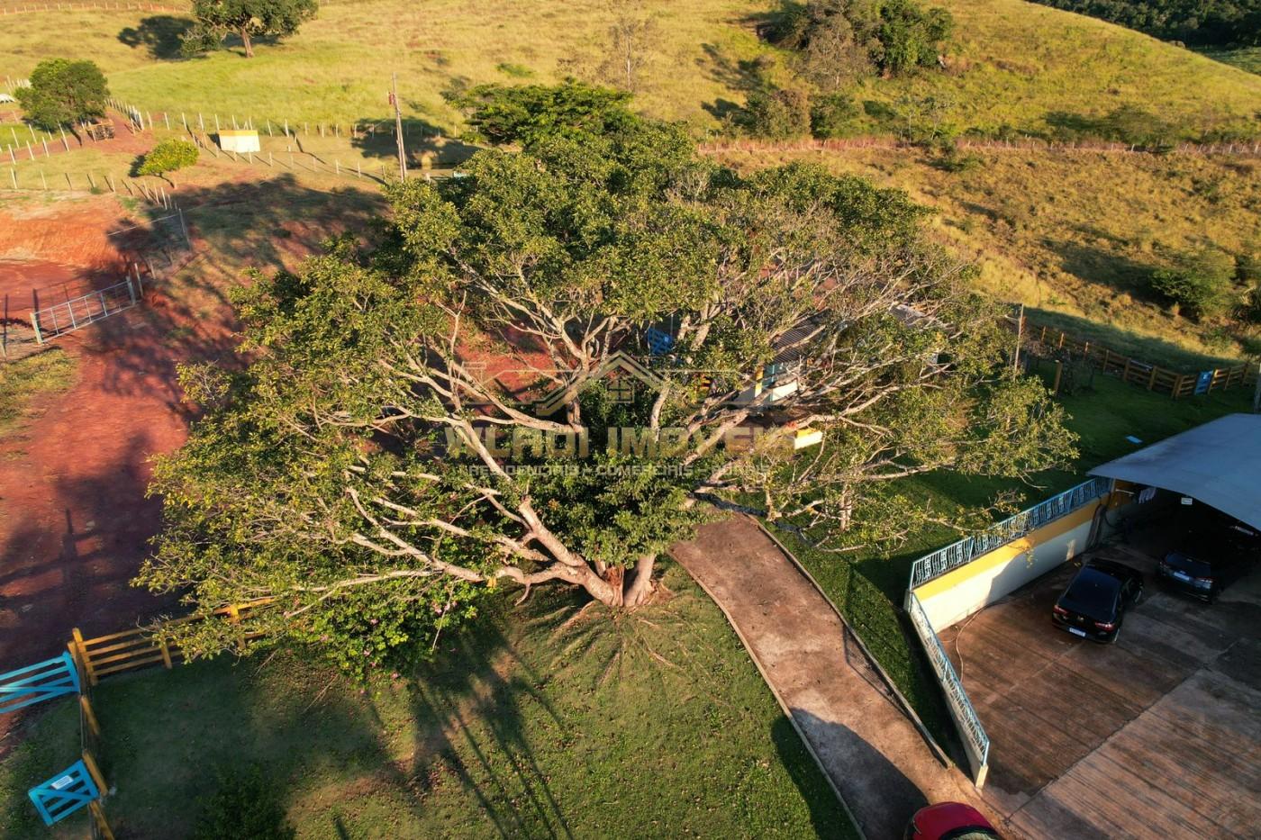 Fazenda, 116 m² - Foto 10