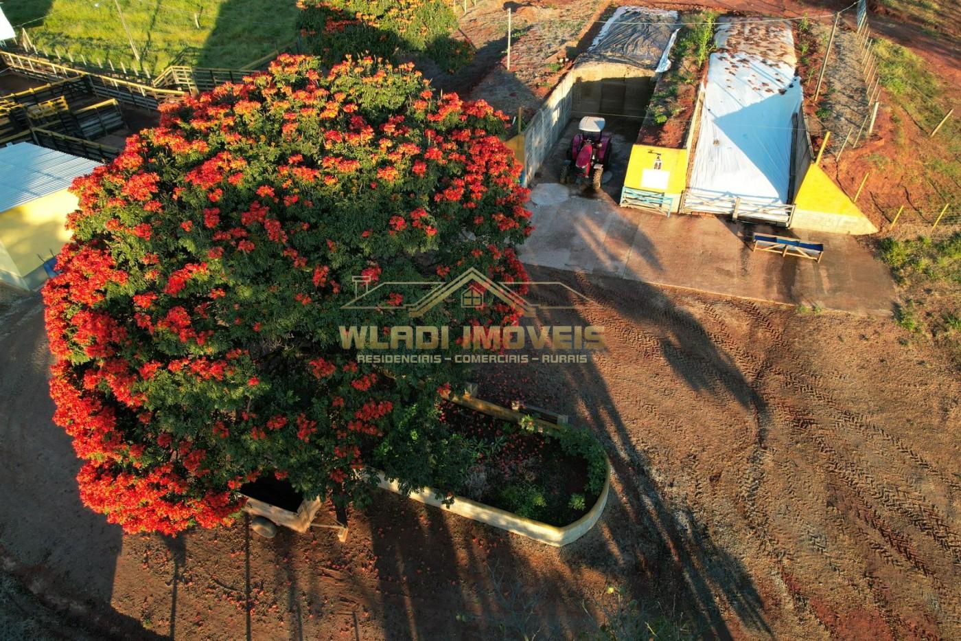 Fazenda, 116 m² - Foto 18