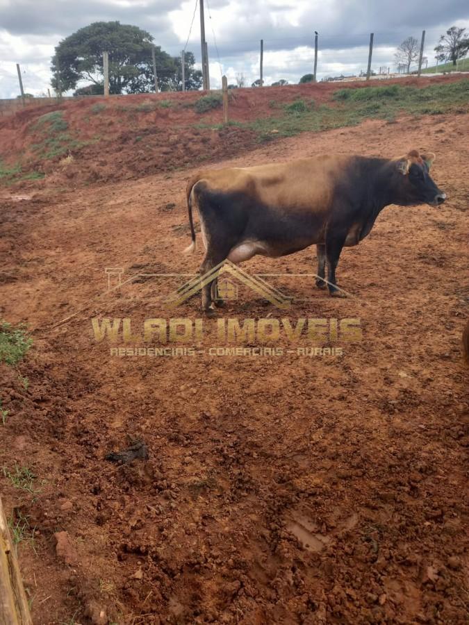 Fazenda, 116 m² - Foto 24