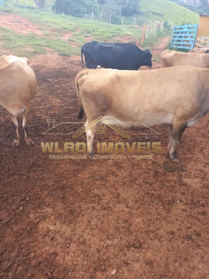 Fazenda, 116 m² - Foto 25