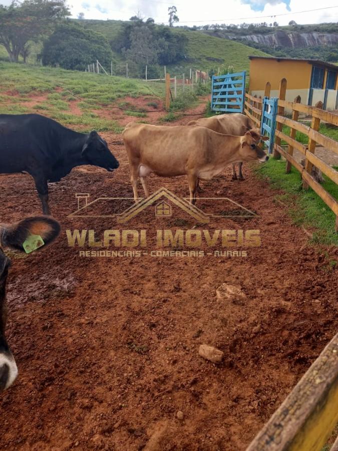 Fazenda, 116 m² - Foto 26