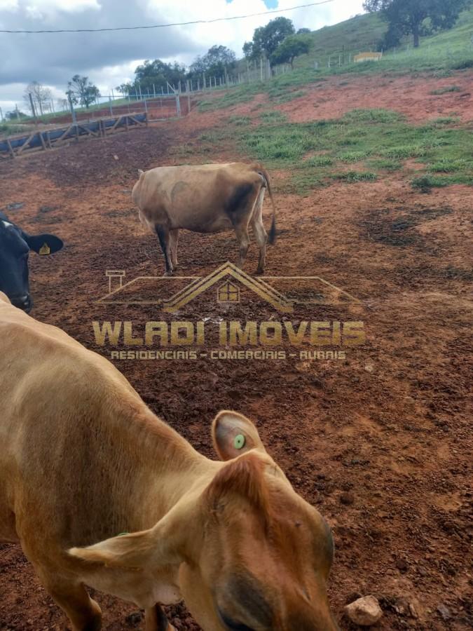 Fazenda, 116 m² - Foto 28