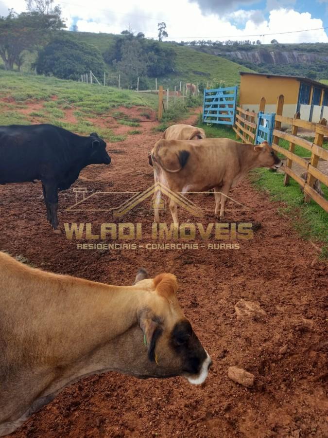 Fazenda, 116 m² - Foto 31