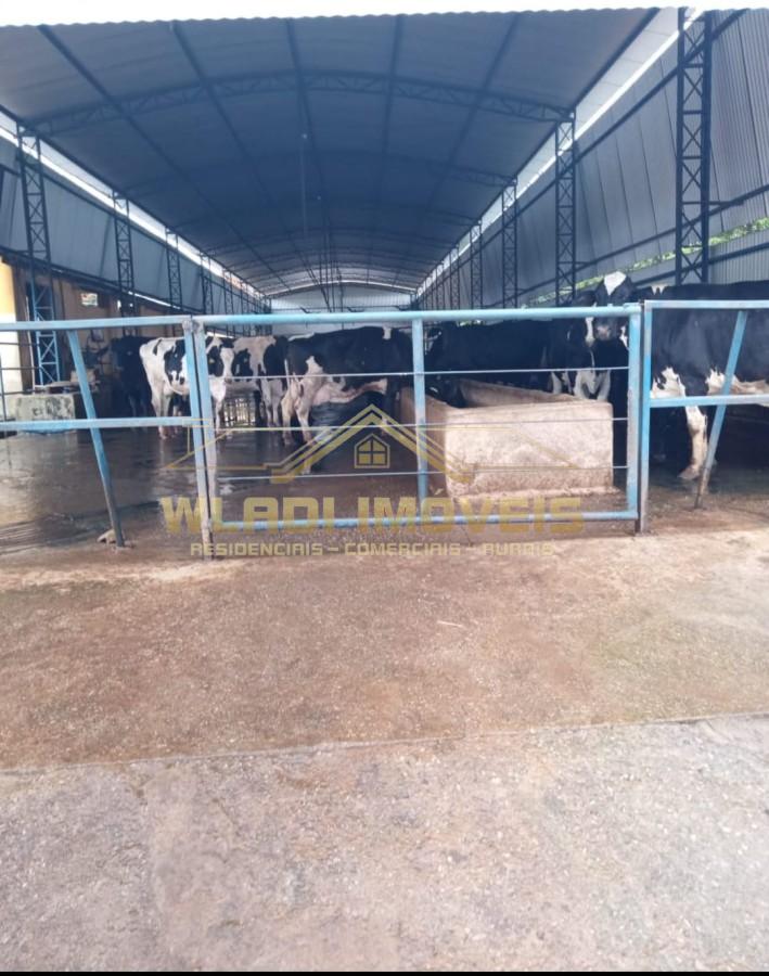 Fazenda, 116 m² - Foto 37