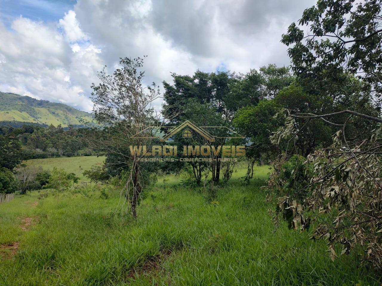 Terreno, 3 hectares - Foto 13