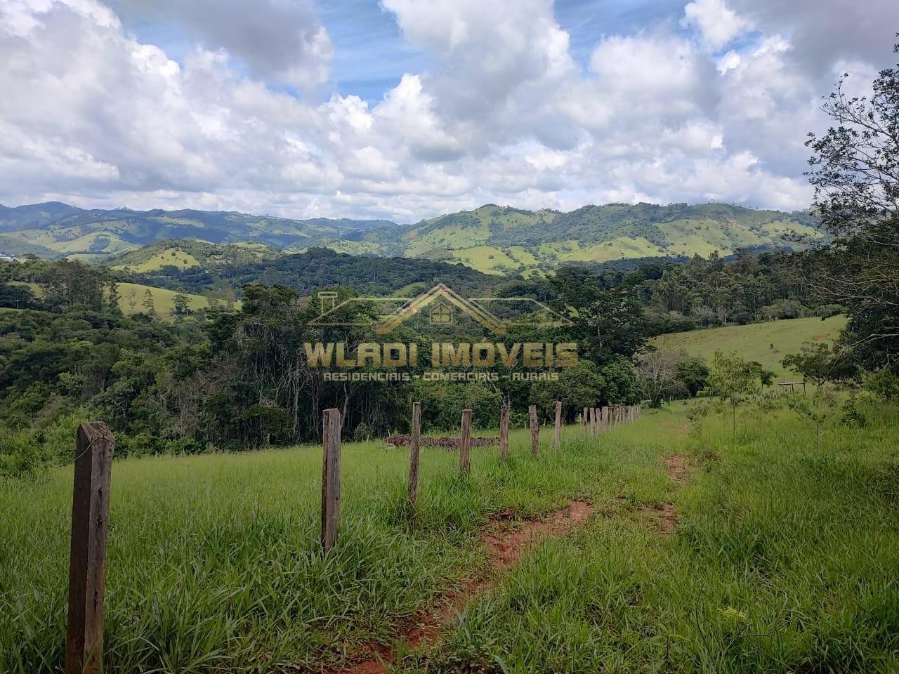 Terreno, 3 hectares - Foto 3